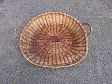 Oudste wan van Nederland gevonden in Vlaardingen